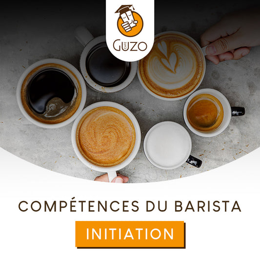 FORMATION : COMPETENCES DU BARISTA - Initiation