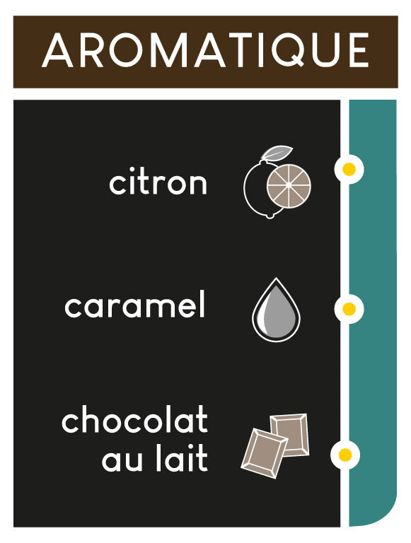 Notes aromatiques : citron, caramel, chocolat au lait