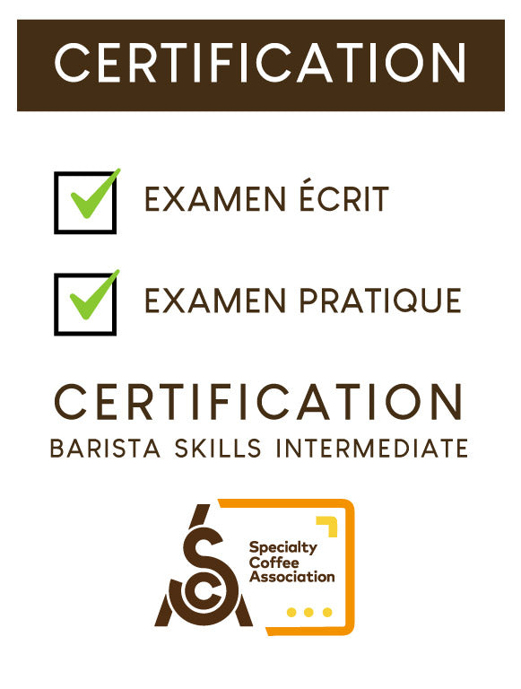 FORMATION : COMPETENCES DU BARISTA - Intermédiaire