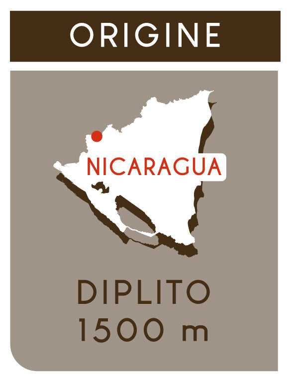 Origine café du Nicaragua, El Toston à Diplito