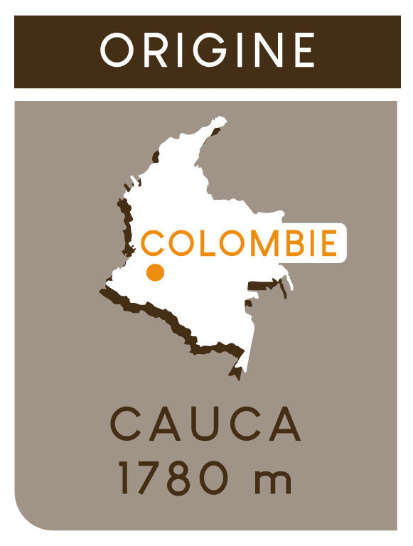 Origine Colombie