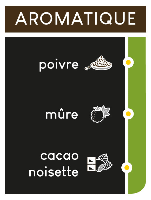 Notes aromatiques : poivre, mûre et cacao-noisette