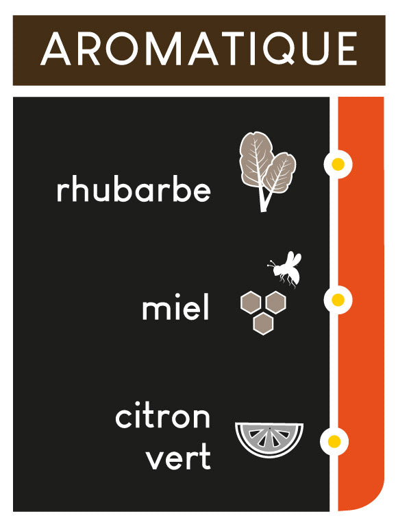 Notes aromatiques : rhubarbe, miel et citron vert