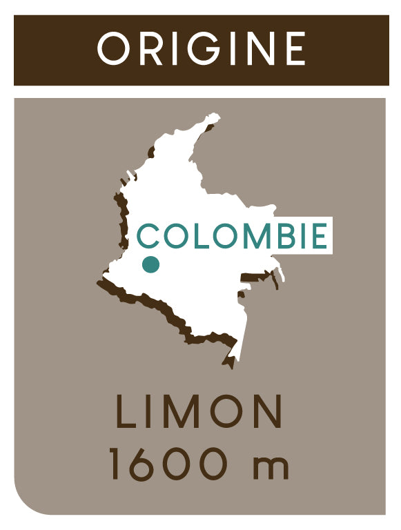 Origine Colombie à Limon